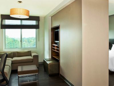 Hotel Element Arundel Mills Bwi Airport 4*